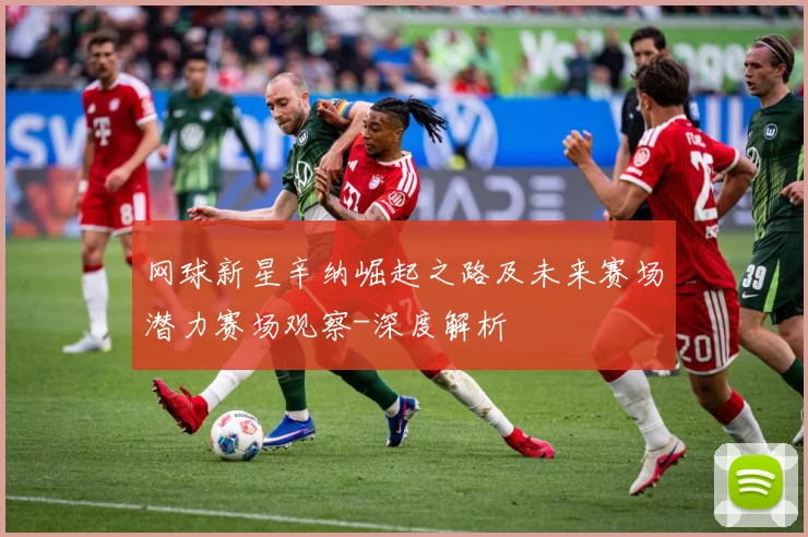 网球新星辛纳崛起之路及未来赛场潜力赛场观察-深度解析
